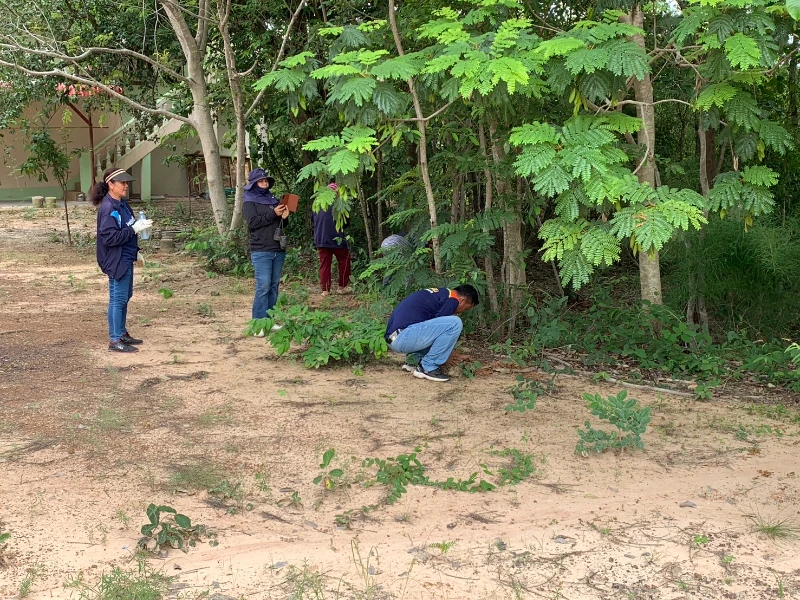 กิจกรรมวันปลูกต้นไม้ประจำปีของชาติ 19 มิถุนายน พ.ศ. 2568